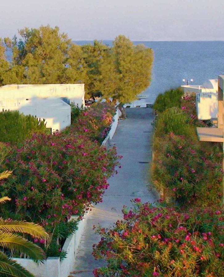 Located By The Sea One Beachfront Private Captain Lazaros Pool Villa With Loft In 750Sqm Spacious Private Plot-Jacuzzi-Sunrelax-Furnished Terace-Gazebo-Private Parking,Sleep 3 Adults And 2 Children, Just Steps From The Black Beach-Seaview Періса Екстер'єр фото